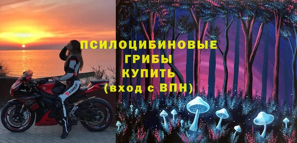 Альфа ПВП Магас